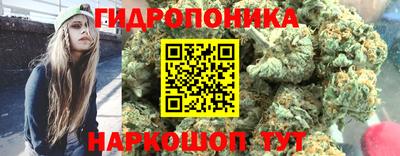 ешки Лесосибирск
